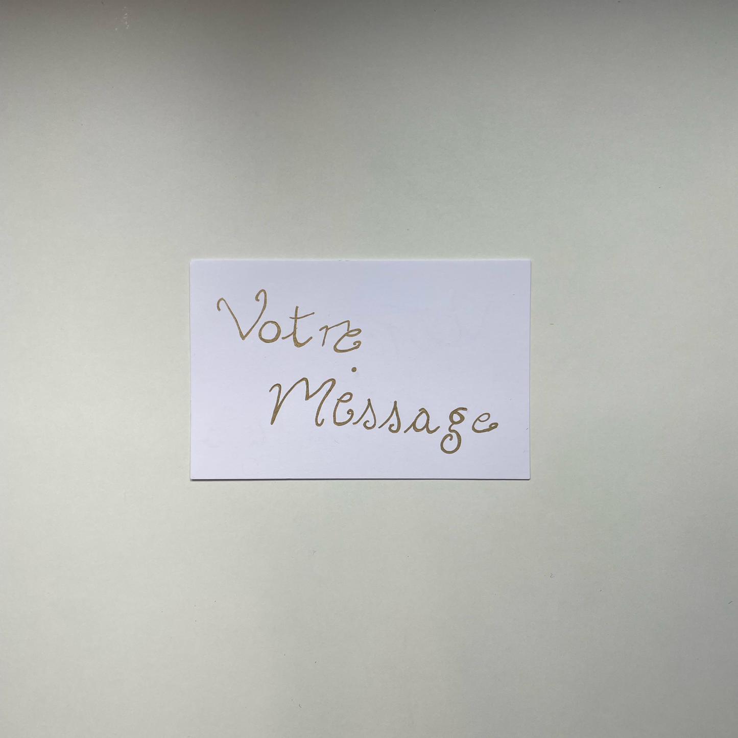 Mubarak-Box Rose
